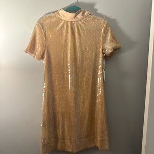 Sequin Short Sleeve Dress